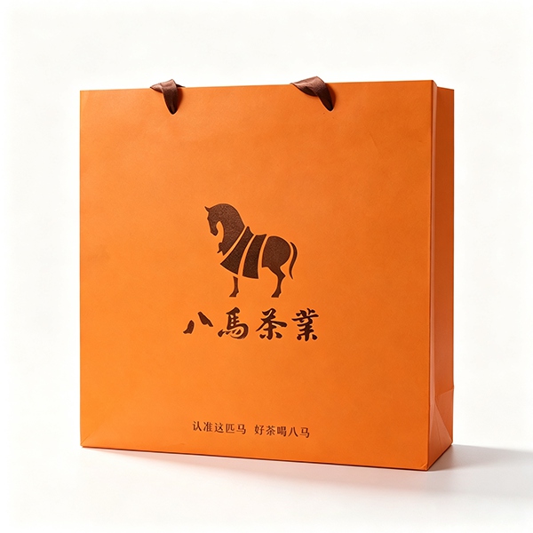 Custom Printed Paper Shopping / Gift Bag with Rope Handle